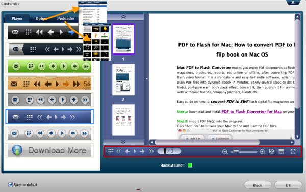 customize flash flipping book