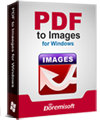 PDF to Image Converter